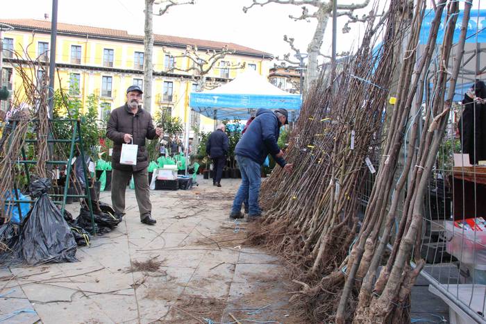 Tolosako Lore eta Landare Az 4 1549717195005