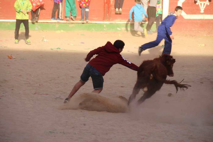 Joaldunek izua eragin dute 50 1551462866212