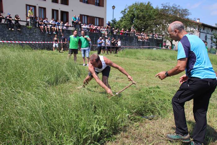 Erabaki dira Euskal Herriko  63 1532870780426