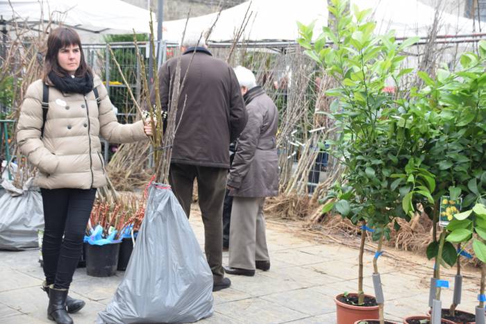 Zuhaitz Azoka, Tolosa, 2017 8 1486819609460