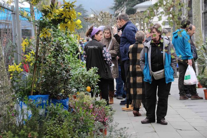 Erein eta zaintzearen magiak 16 1581165935043