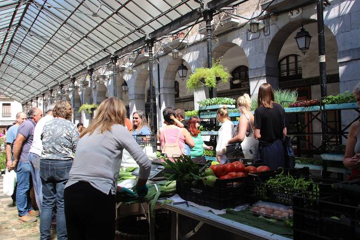 tolosako zokara bisita gidat 7 1657363888181