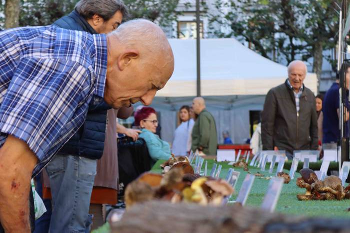 Perretxikoen plaza 16 1666439566895