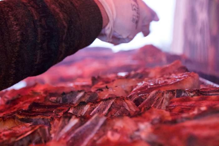 Txekor jatea lizartzan 22 1487518952970