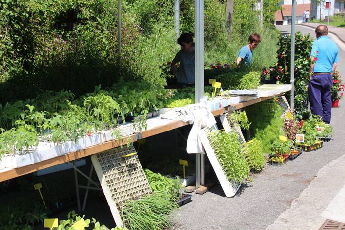 V. Azoka Ekologikoa ospatu d 3 1525614971225