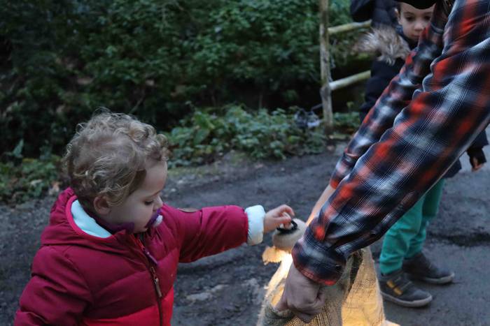 Amasa-Villabonako txikienak  36 1608486270325