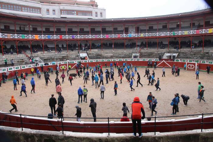 Txikienak zezen txikien aurr 20 1552240883124