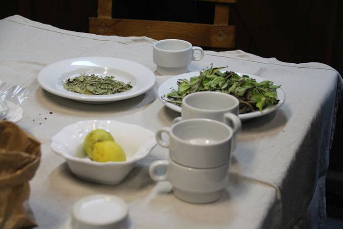 Azukre gabe gozatuz 10 1510685473463