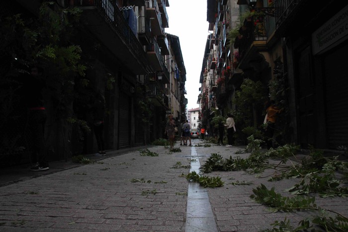 Berdez esnatzen da ekainaren 24a - 11