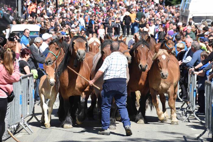 Larrerati dituzte abereak Ar 48 1556716316144