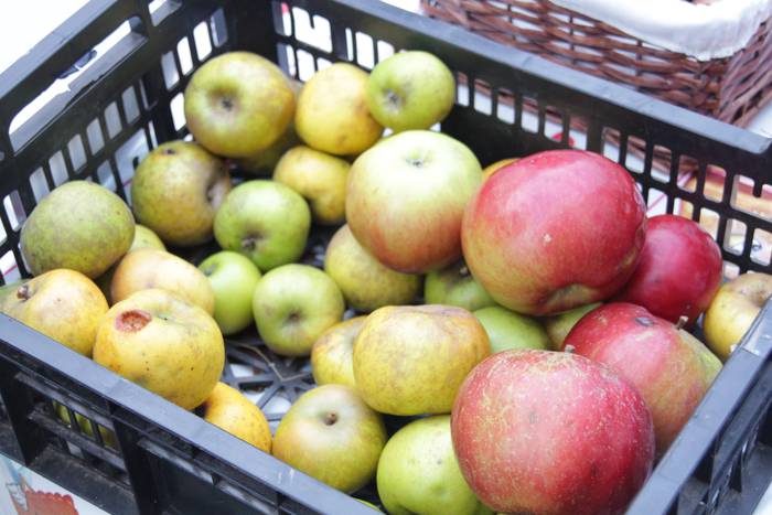 Samaniego eskolan azoka berezia 4 1446827166152