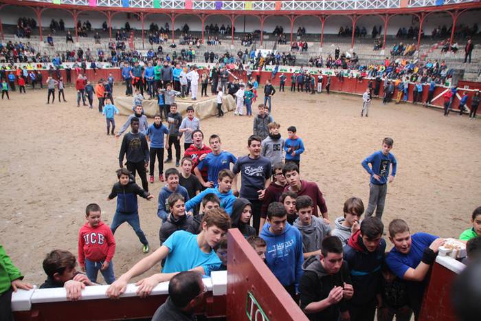 Txaranga eta zezenak piñata  33 1488738919290