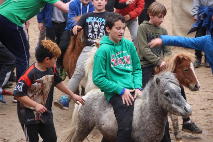 Txaranga eta zezenak piñata  29 1488738892750