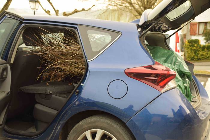 Baliarrain Zuhaitz Eguna 202 9 1644668812980