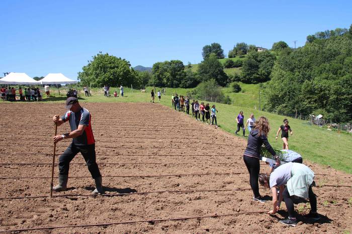 Erein dituzte lehen piperrak 37 1559303484406