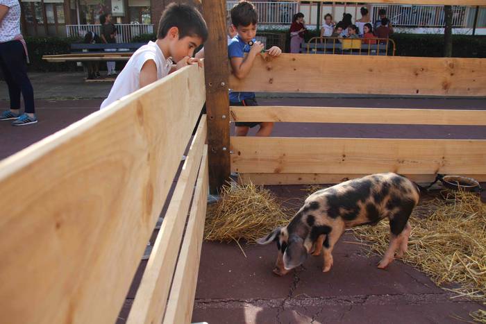 Euskaldunak asetzeko festa 47 1570976337398