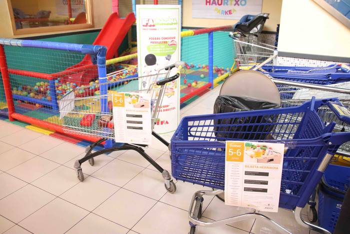 Janari bilketa Amasa-Villabo 10 1591445981995