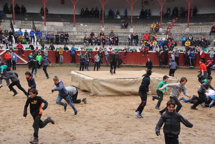 Txaranga eta zezenak piñata  14 1488738804684