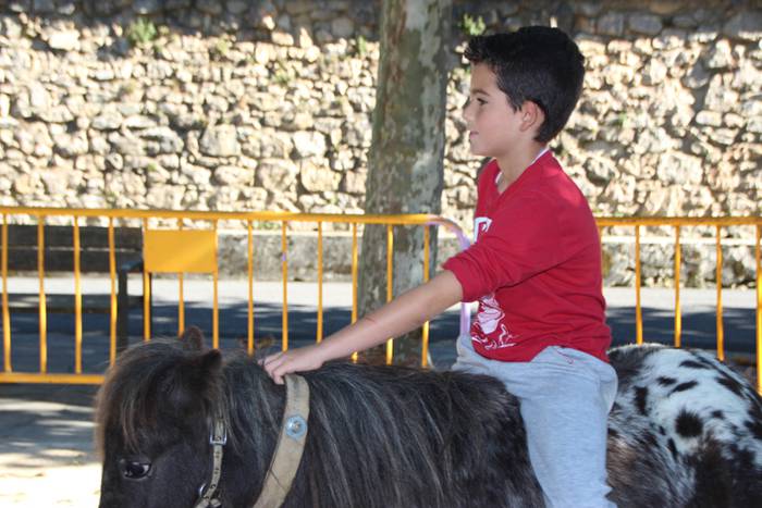 Animali, barazki eta artisau lanen bilgune 21 1477830817242