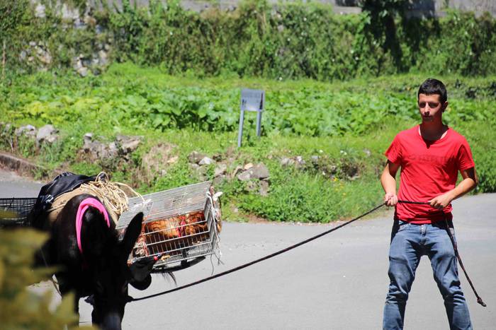 Suziriari aurrea hartu diote 5 1565791741339