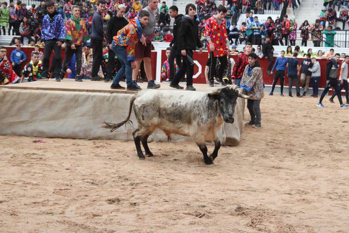 Inauteriak 2020, zezenak Ost 30 1582222556437