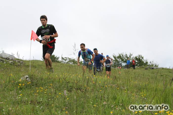 T3T tontor 2016 hernio 60 1466351092452